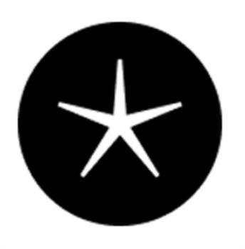 Логотип 2025701781