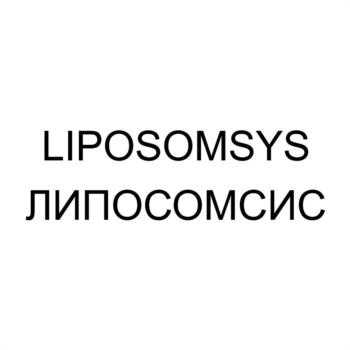 Логотип 2025702081