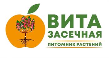 Логотип 2025702256