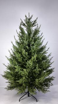 Логотип 2025814262