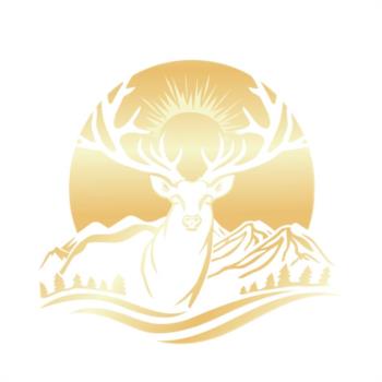 Логотип 2025706606