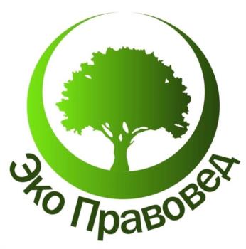 Логотип 2025707248