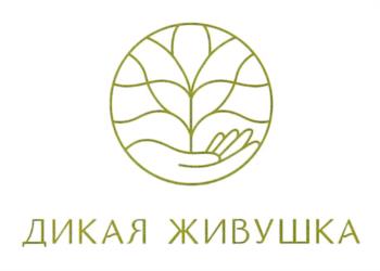 Логотип 2025711665