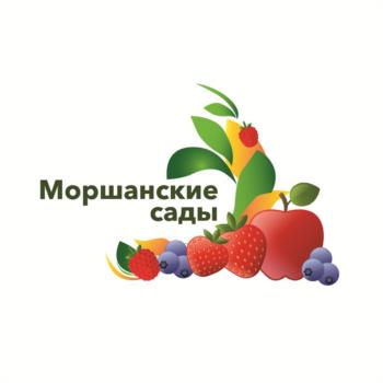 Логотип 2025724056