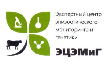 Логотип 2025725352