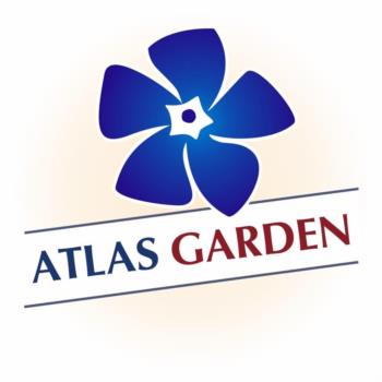 Логотип 2025747072