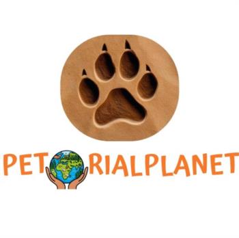 Логотип 2025752341