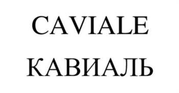 Логотип 2025752428