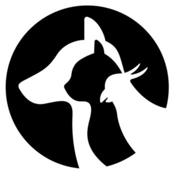 Логотип 2025753632