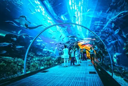 Океанариум Dubai Aquarium & Underwater Zoo