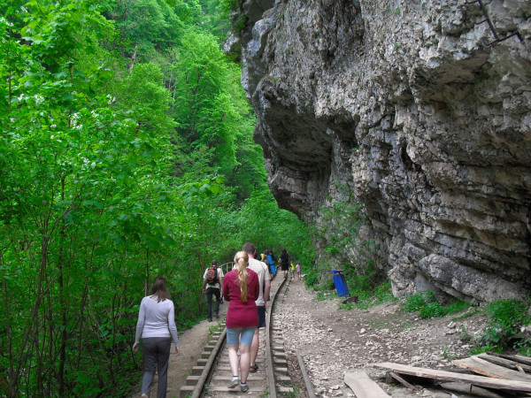 Актив «Осень-Весна»