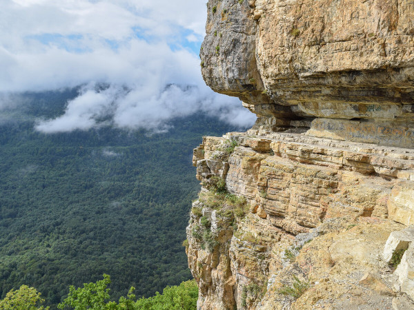 Актив "МУЛЬТИЛЕТО 10"