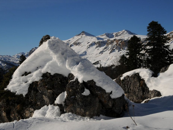 Тур в Адыгею "Зима не за горами"