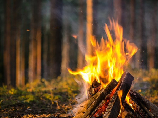 Школа выживания