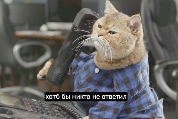 46dd0e9c7b917be1fdf79a71c130845f