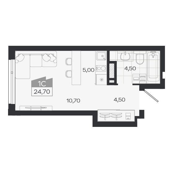Планировка: Евро-1, 24,7 м²