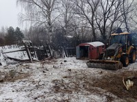 Уборка деревьев и кустарника, планировка