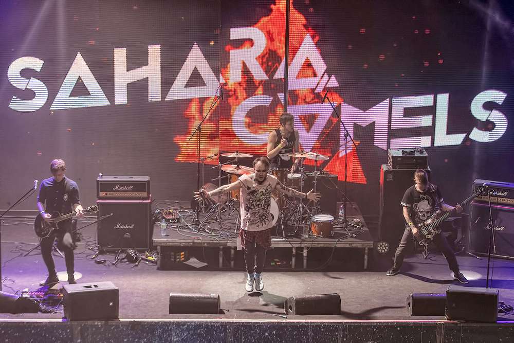 Sahara Camels выпустили сингл от лица собаки