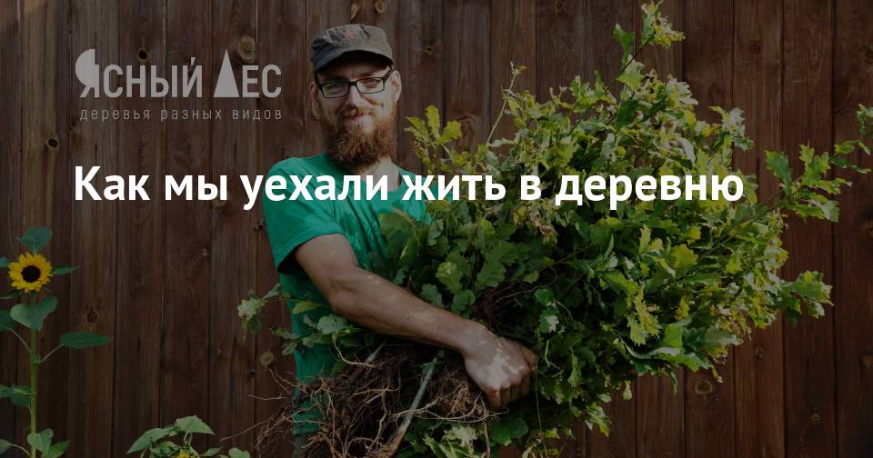 Картинка для привлечения внимания КДПВ