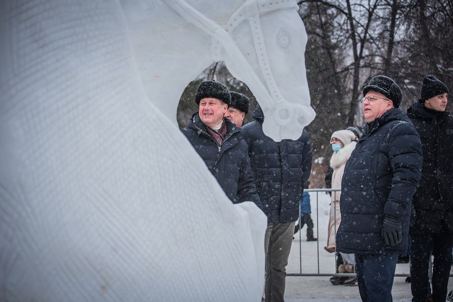 Фото «Мотивы Сибири»: в Новосибирске выбрали лучшую снежную скульптуру 61