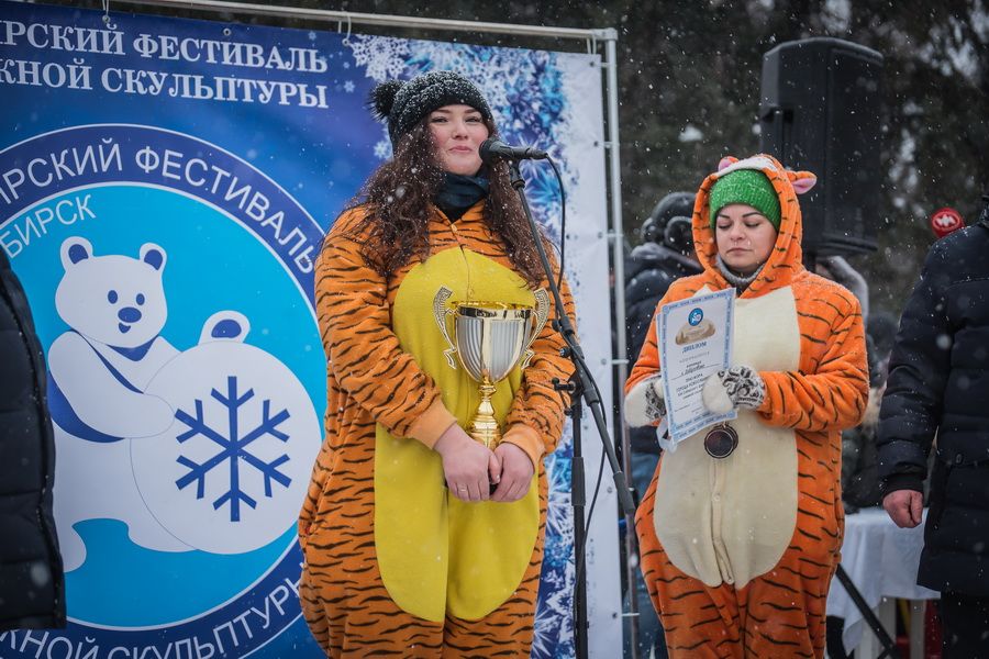Фото «Мотивы Сибири»: в Новосибирске выбрали лучшую снежную скульптуру 128