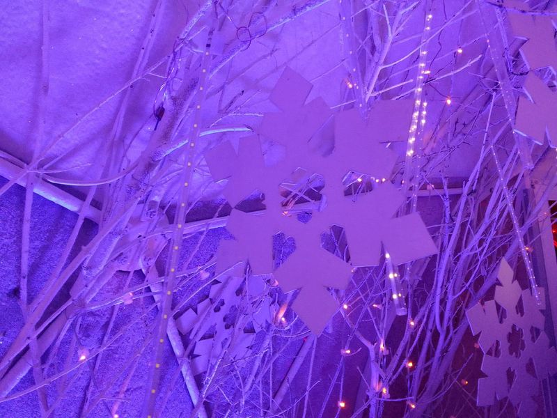 Фото Снежинка не растает: в Новосибирск привезли символ новогодней столицы России 34