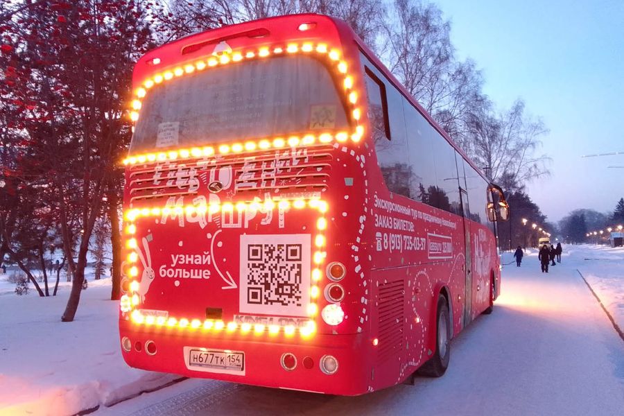 Фото Снежинка не растает: в Новосибирск привезли символ новогодней столицы России 35
