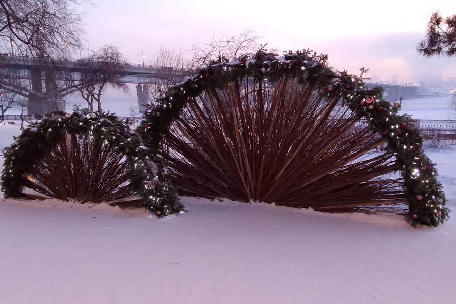 Фото Снежинка не растает: в Новосибирск привезли символ новогодней столицы России 76