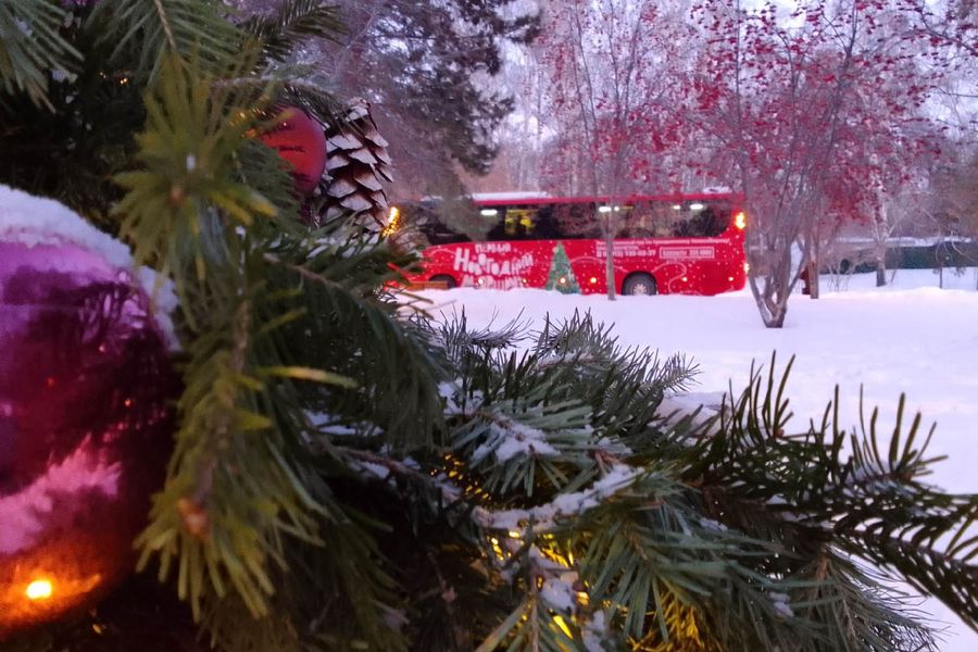 Фото Снежинка не растает: в Новосибирск привезли символ новогодней столицы России 12