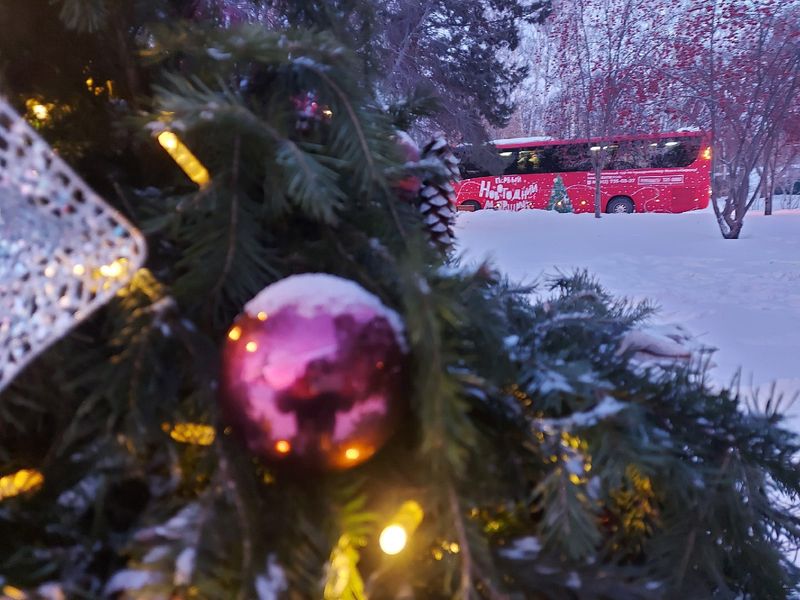 Фото Снежинка не растает: в Новосибирск привезли символ новогодней столицы России 13