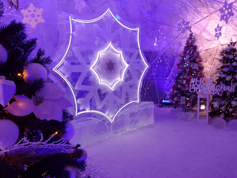 Фото Снежинка не растает: в Новосибирск привезли символ новогодней столицы России 15