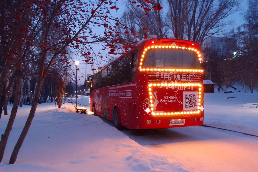 Фото Снежинка не растает: в Новосибирск привезли символ новогодней столицы России 18