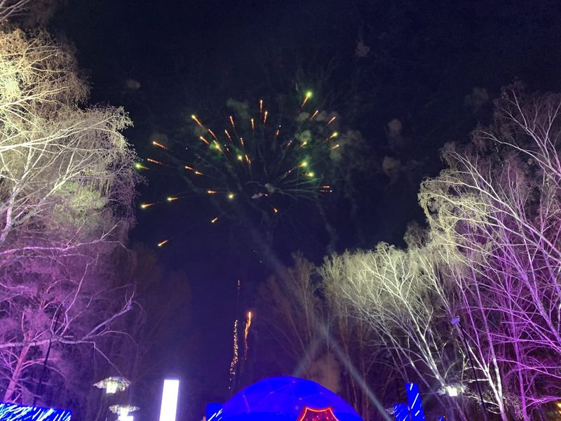 Фото Снежинка не растает: в Новосибирск привезли символ новогодней столицы России 26