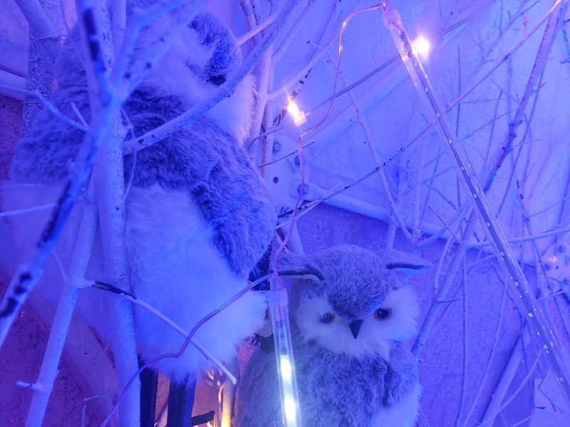Фото Снежинка не растает: в Новосибирск привезли символ новогодней столицы России 25