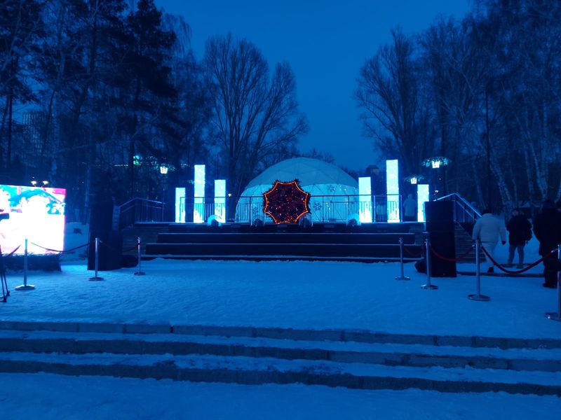 Фото Снежинка не растает: в Новосибирск привезли символ новогодней столицы России 37