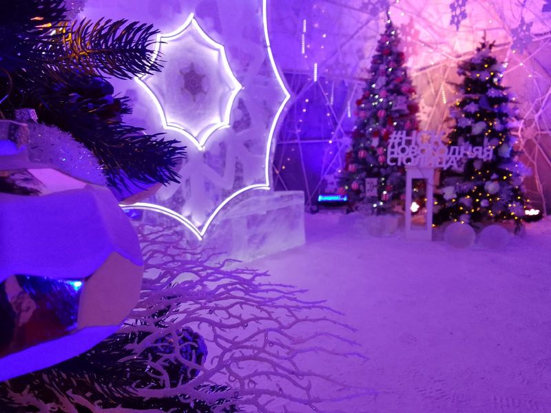 Фото Снежинка не растает: в Новосибирск привезли символ новогодней столицы России 55