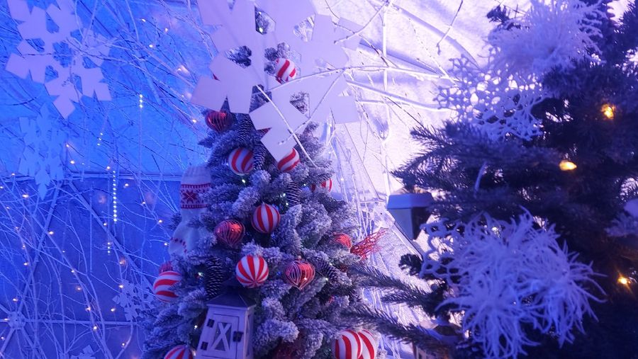 Фото Снежинка не растает: в Новосибирск привезли символ новогодней столицы России 59