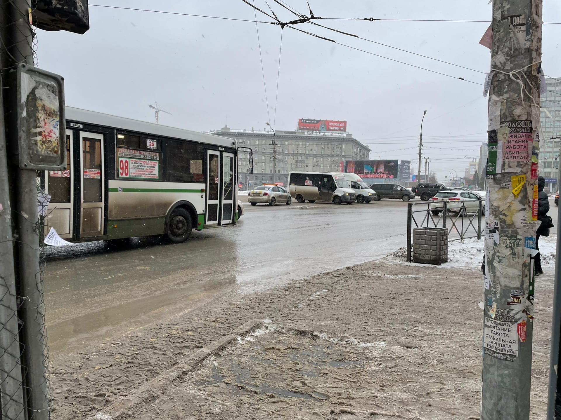 Фото Бионордск: как оттепель в ноябре превратила Новосибирск в болото 4