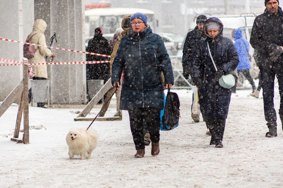 Фото Снега мало не бывает: зима вернулась в Новосибирск 5