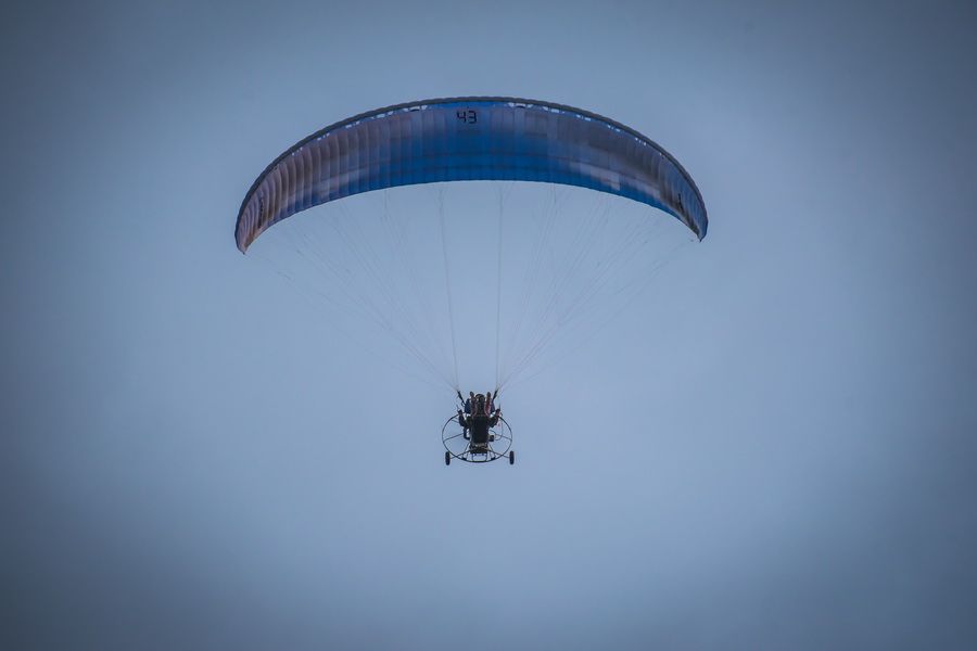 Фото «Пусть людям крыльев не дано…»: десятки парапланов поднялись в вечернее небо над Бердском 135