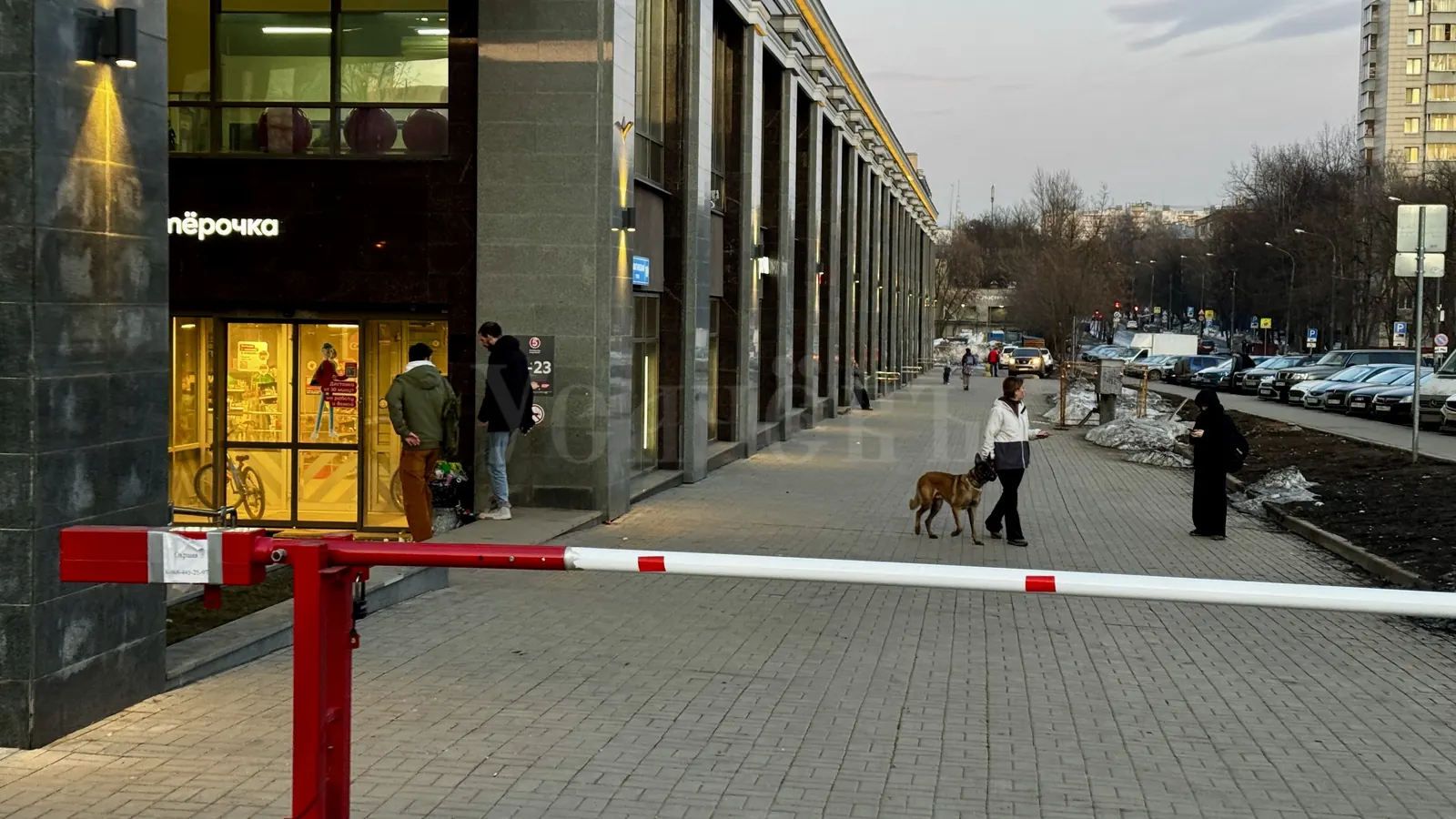 Коммерческое помещение 875,8 м²