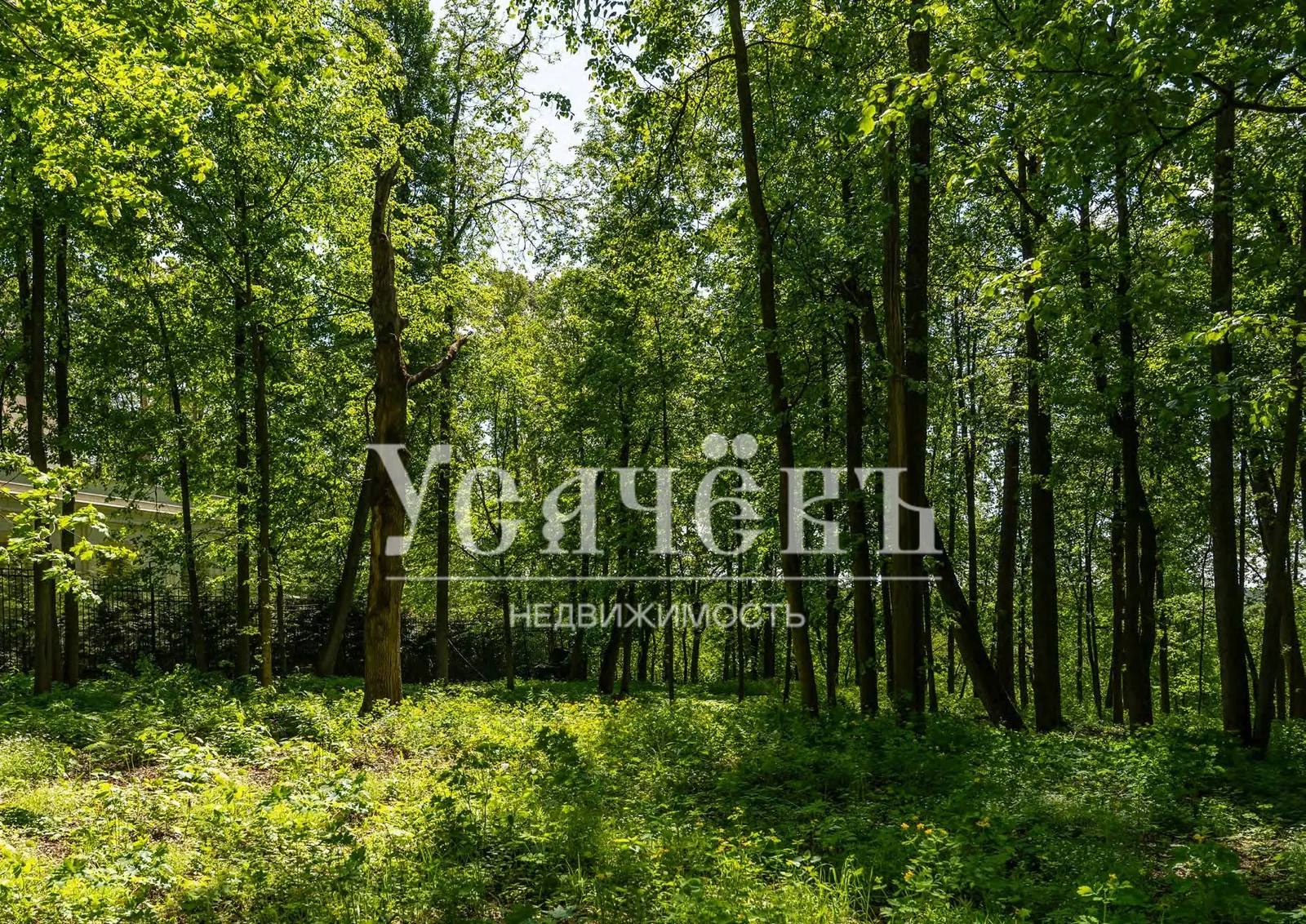 Загородный дом