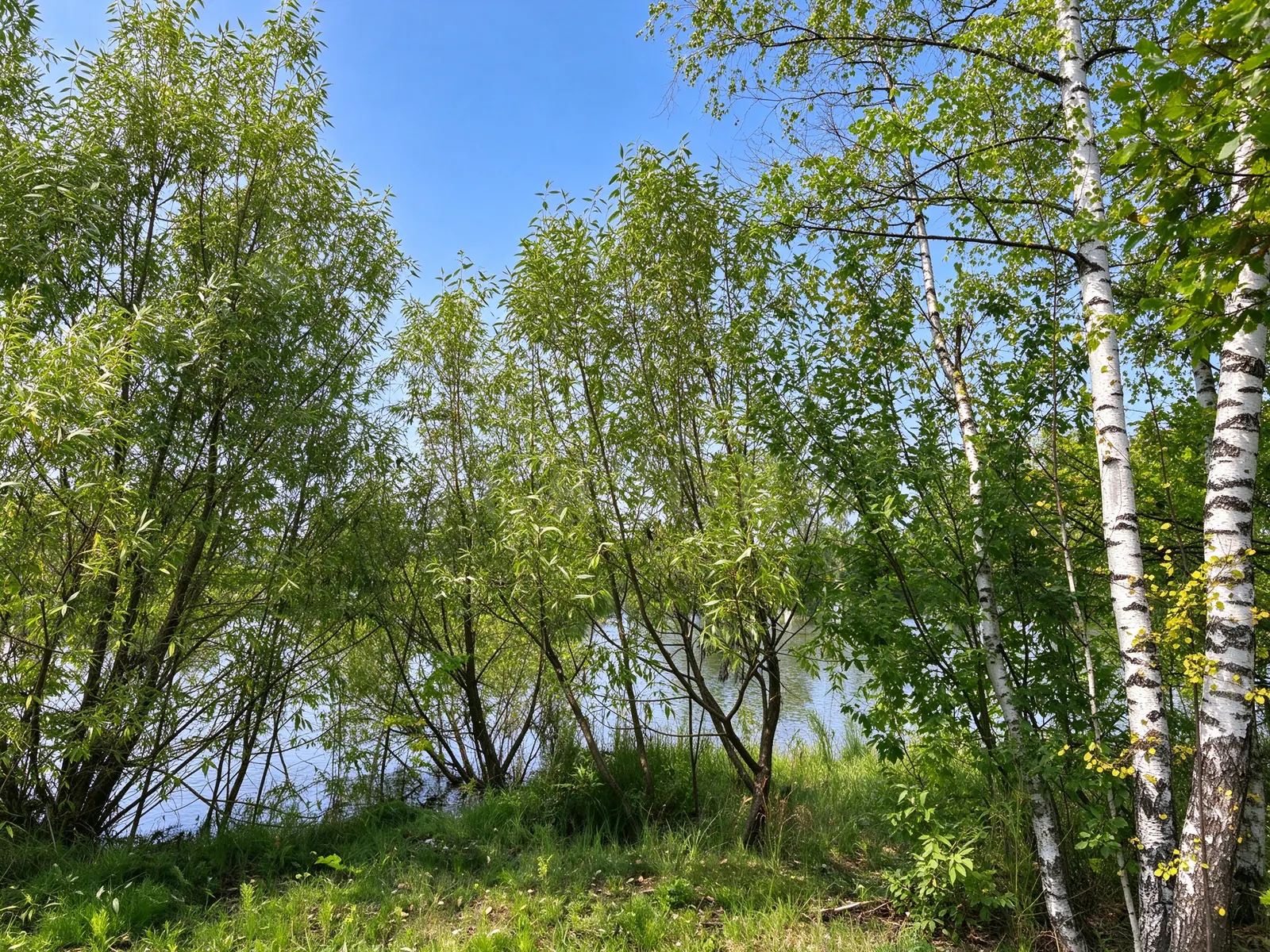 Загородный дом