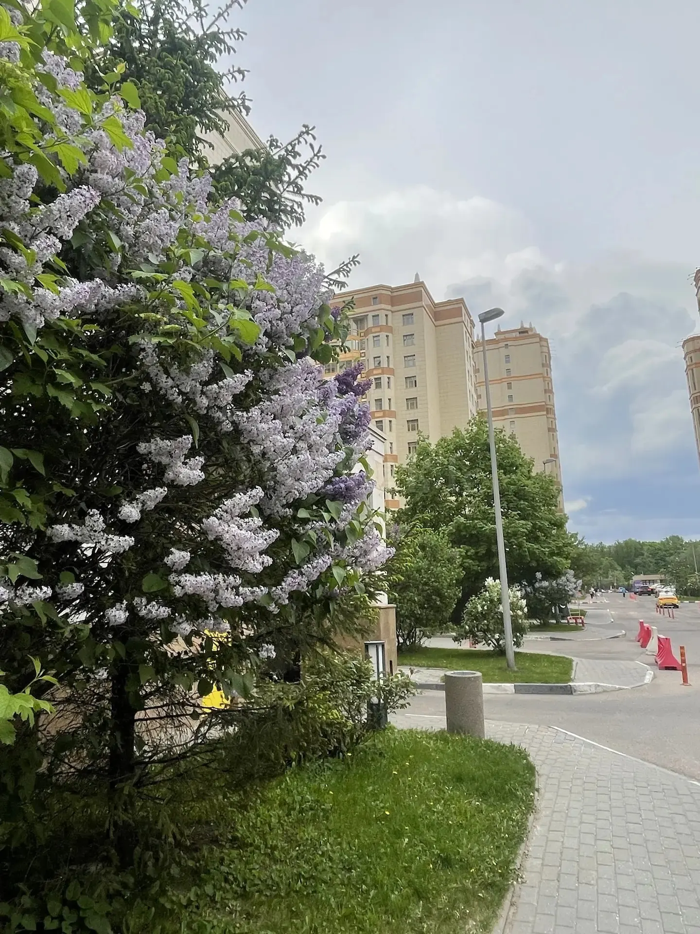 5-комнатная квартира 176,5 м² в ЖК «Dominion»
