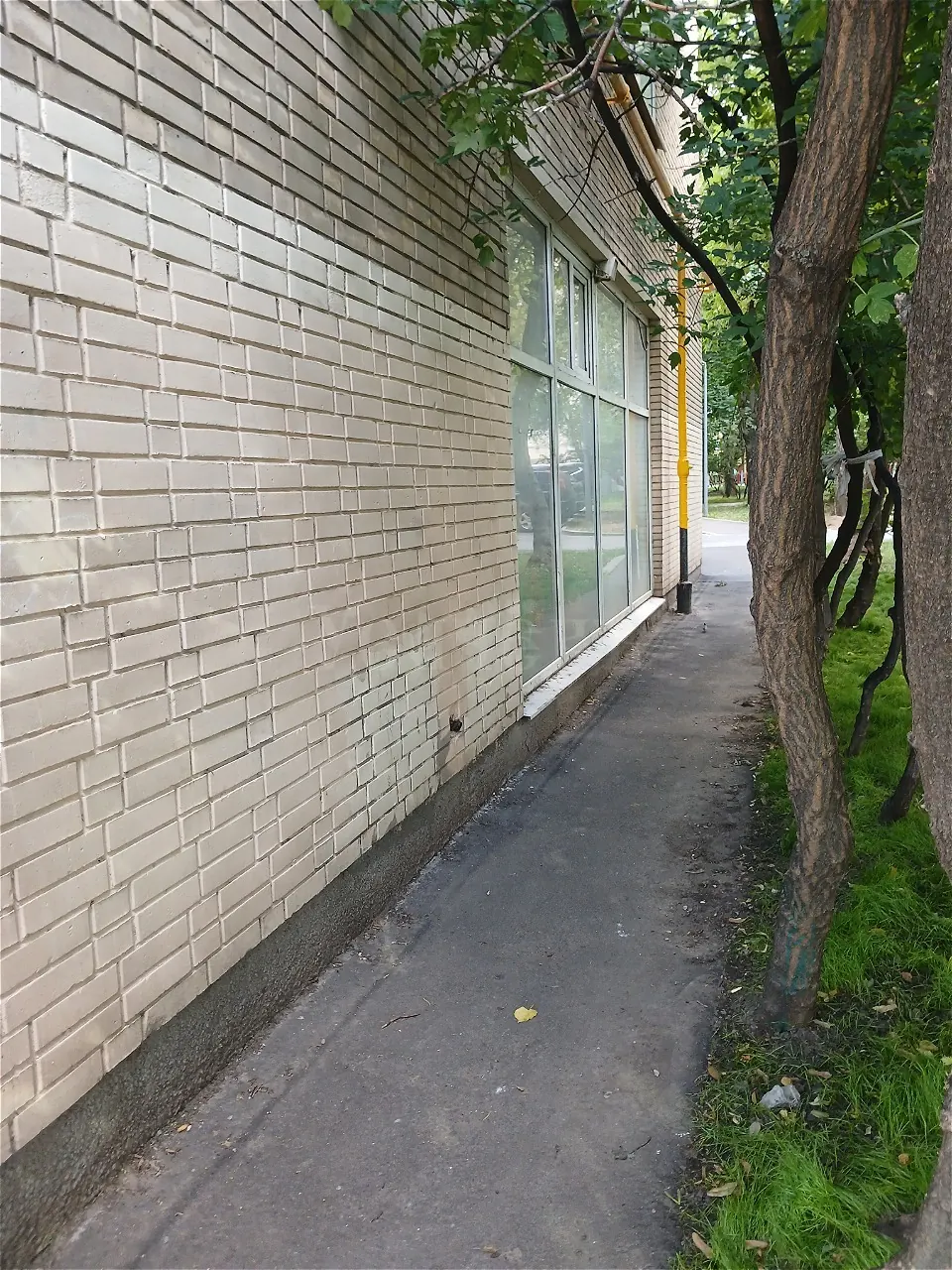 Коммерческое помещение 165,5 м²