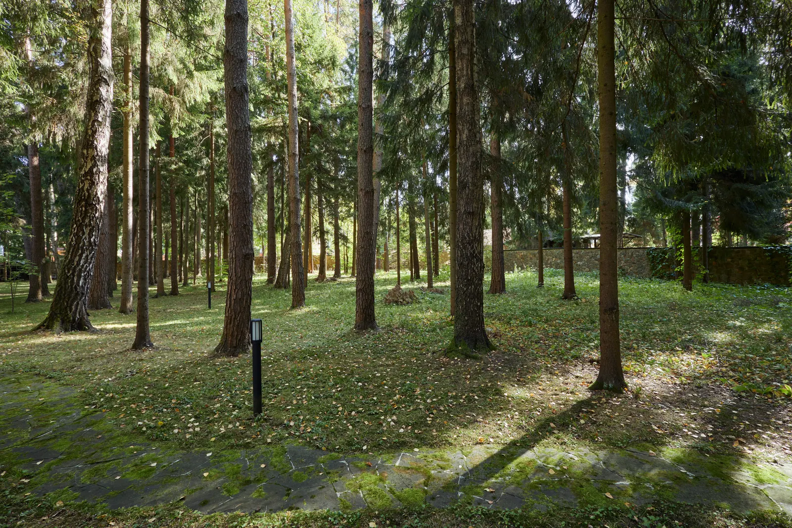 Загородный дом