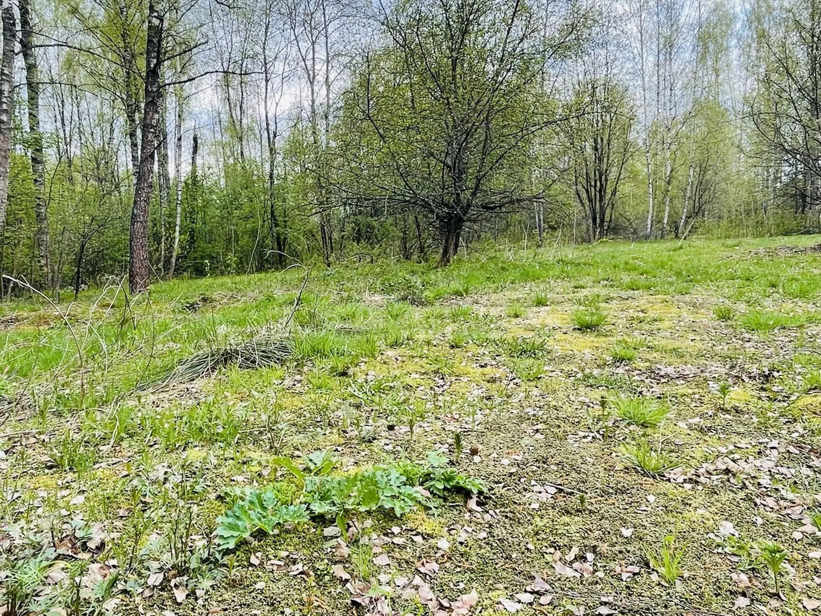 Коммерческое помещение