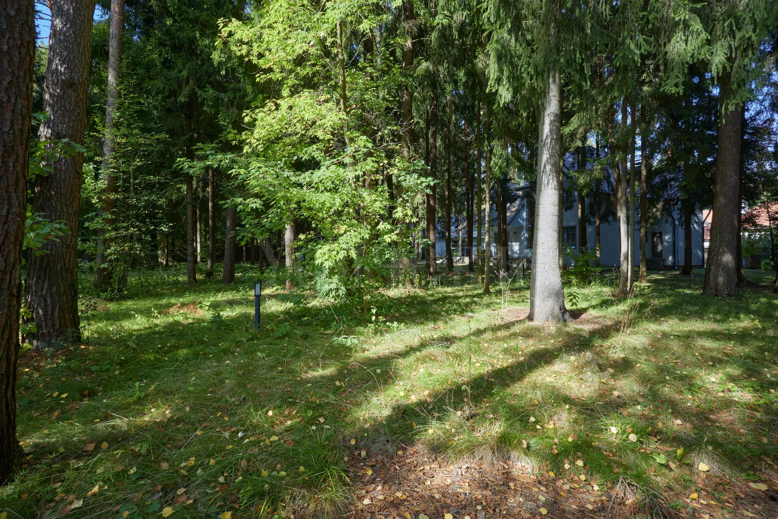 Загородный дом 229,3 м²