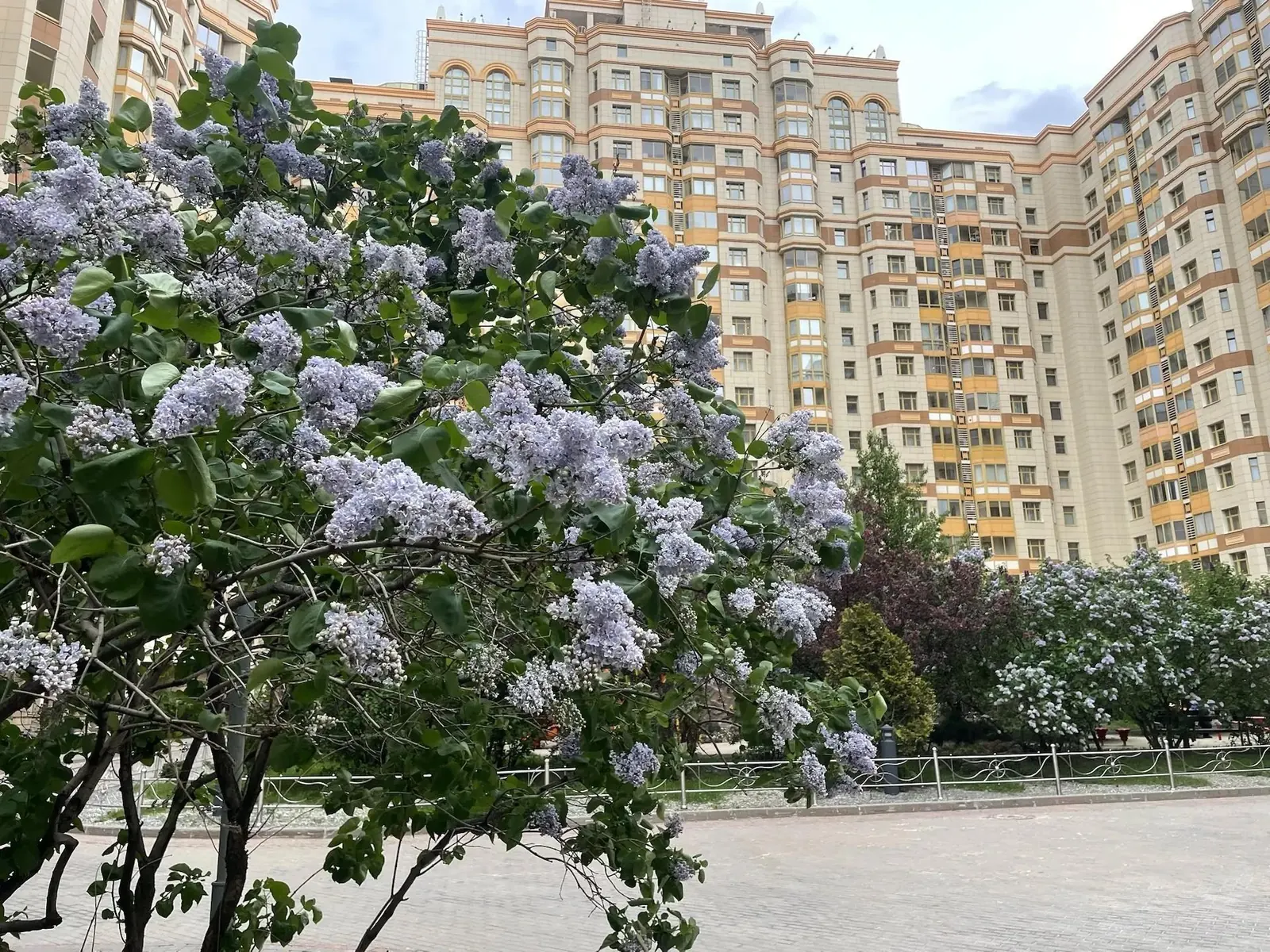 4-комнатная квартира 145 м² в ЖК «Dominion»
