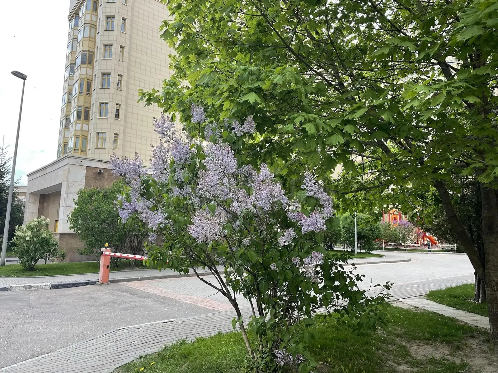 4-комнатная квартира 176,5 м² в ЖК «Dominion»